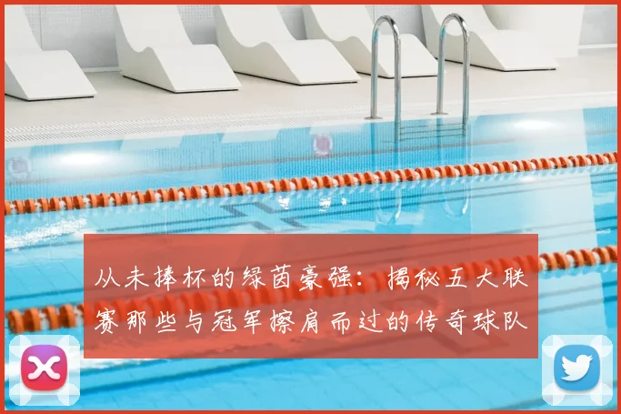 从未捧杯的绿茵豪强：揭秘五大联赛那些与冠军擦肩而过的传奇球队